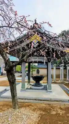 長妙寺の手水舎