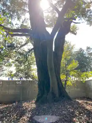 小宅神社のその他建物