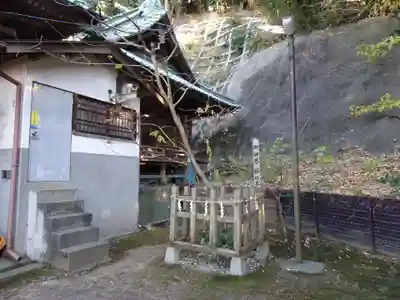 大津諏訪神社の自然