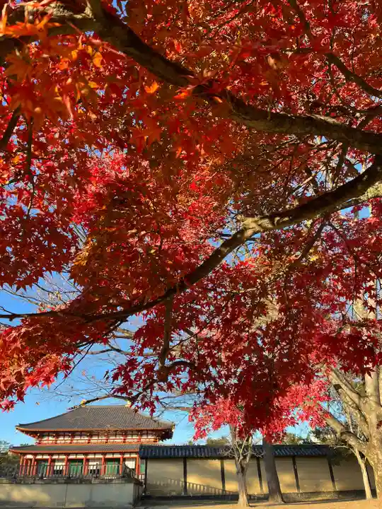 興福寺(奈良県)