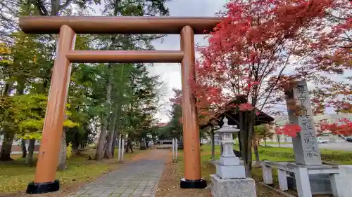 真龍神社の鳥居