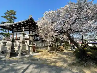 善通寺(香川県)