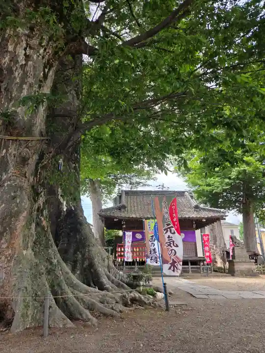 八枝神社の{uncategorized: "未分類", other: "その他", undefined: "問題あり", building: "その他建物", grave: "お墓", sacred_gate: "鳥居", guardian: "狛犬", statue: "像", buddha: "仏像", history: "歴史", nature: "自然", garden: "庭園", animal: "動物", pagoda: "塔", temizu: "手水舎", mountain_gate: "山門・神門", sanctuary: "本殿・本堂", subordinate: "末社・摂社", art: "芸術", scenery: "景色", jizo: "地蔵", ema: "絵馬", goshuin: "御朱印", omikuji: "おみくじ", items: "授与品その他", amulet: "お守り", goshuincho: "御朱印帳", eats: "食事", festival: "お祭り", votive_dance: "神楽", shichigosan: "七五三参", wedding: "結婚式", experience: "体験その他", initially: "初詣", around: "周辺", anti_infection: "感染症対策"}