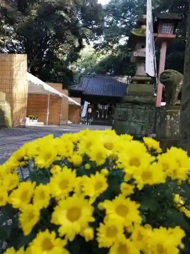 間々田八幡宮のその他建物