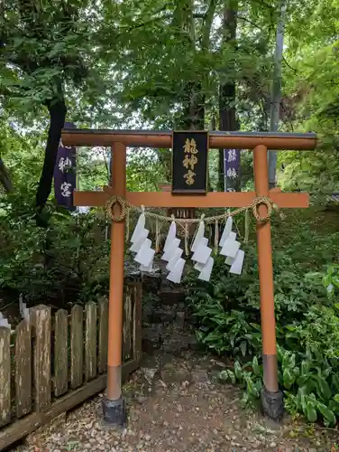 唐澤山神社(栃木県)