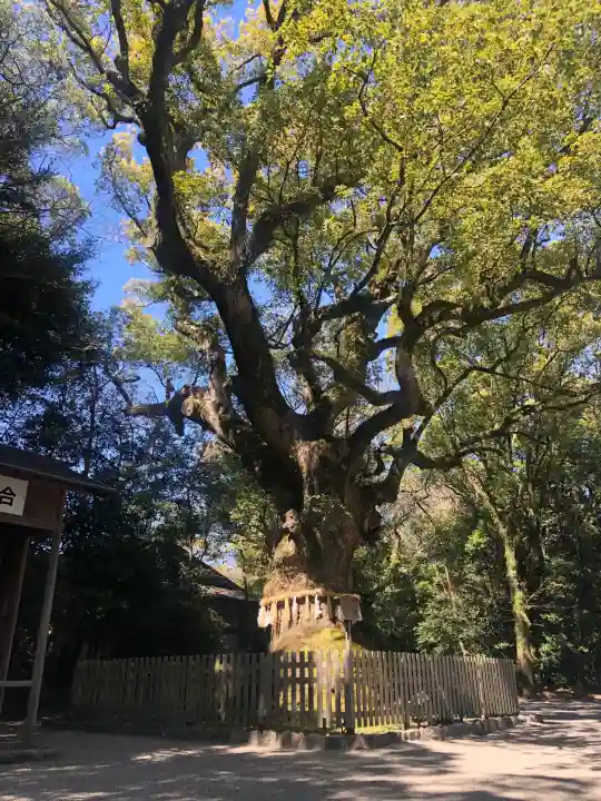 熱田神宮の御朱印