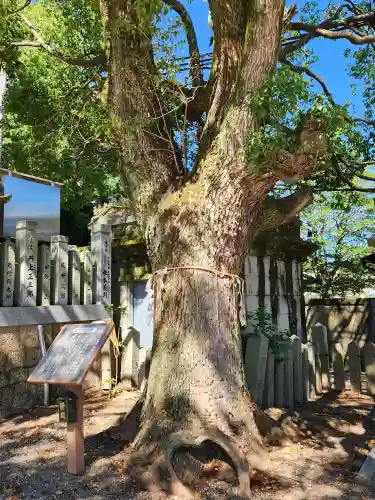 水尾神社の自然