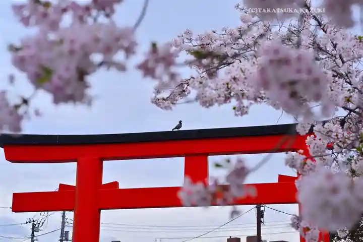 富士山本宮浅間大社(静岡県)