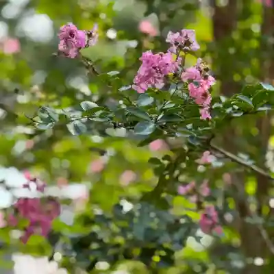 伊勢の国 四天王寺(三重県)