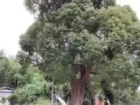 御嶽神社(生沢)(神奈川県)