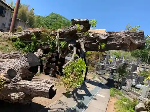 上澤寺のその他建物