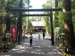 椿大神社の鳥居