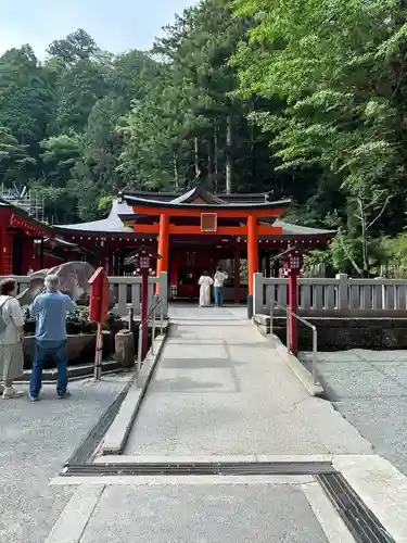 九頭龍神社新宮(神奈川県)