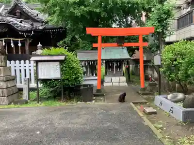新田神社(神奈川県)