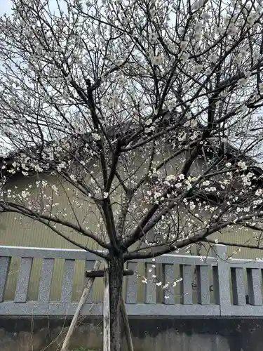 廣田神社(富山県)