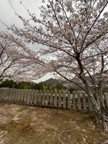和田寺(兵庫県)