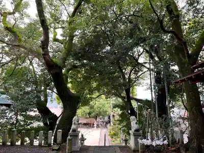 山王神社のその他建物