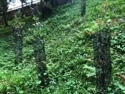 山神社の自然