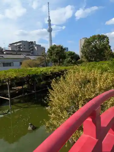 亀戸天神社(東京都)
