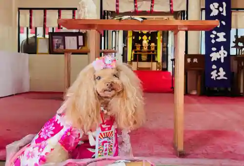 別小江神社の動物