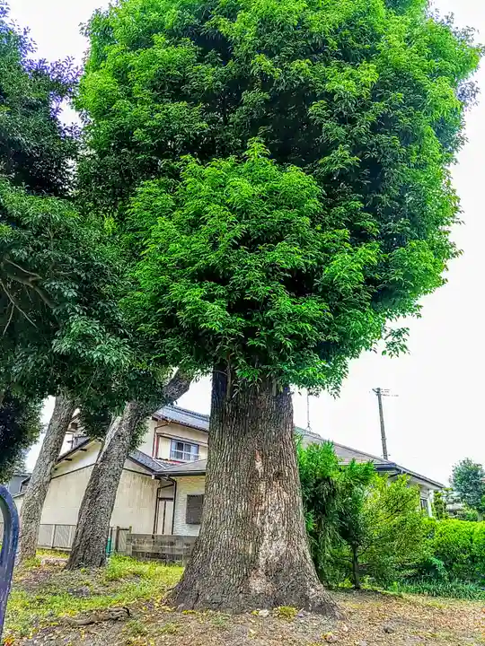 十二所社の自然