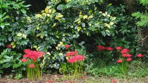 香取神宮の自然