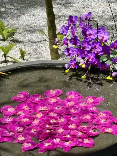 西来院(京都府)