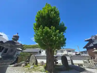 念佛寺（念仏寺）(京都府)