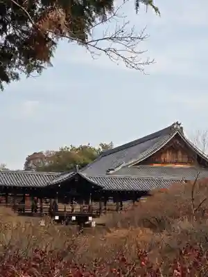 東福禅寺（東福寺）(京都府)