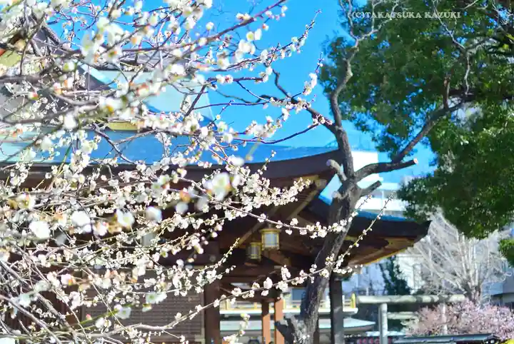湯島天満宮(東京都)