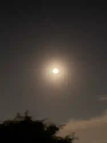 相模原氷川神社の自然