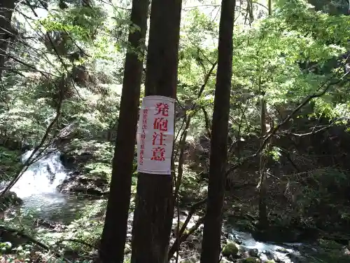 真福寺(埼玉県)