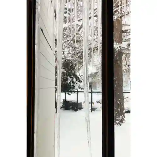 彌彦神社　(伊夜日子神社)の自然