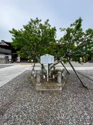 矢奈比賣神社（見付天神）(静岡県)