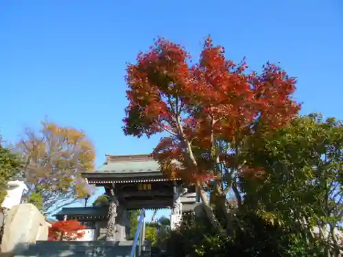 慈眼寺の山門