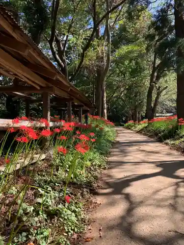 熊野神社の庭園