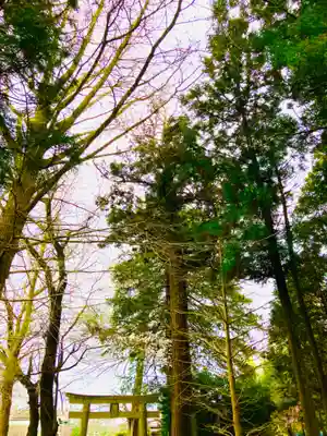 岡見八坂神社(茨城県)