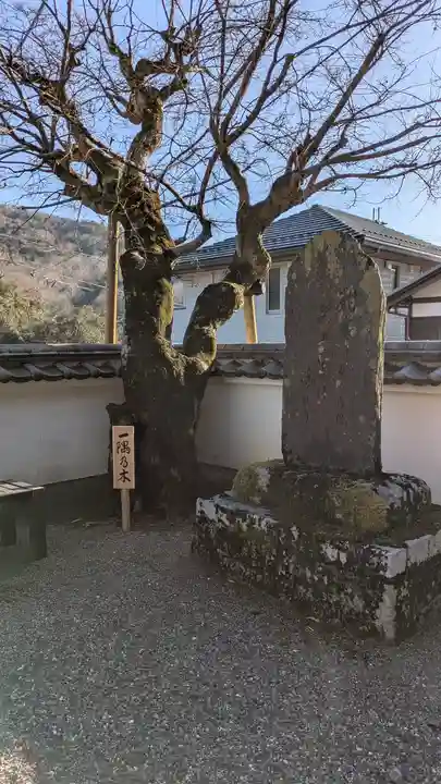 法楽寺(滋賀県)