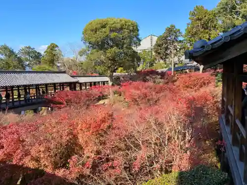 東福禅寺（東福寺）(京都府)