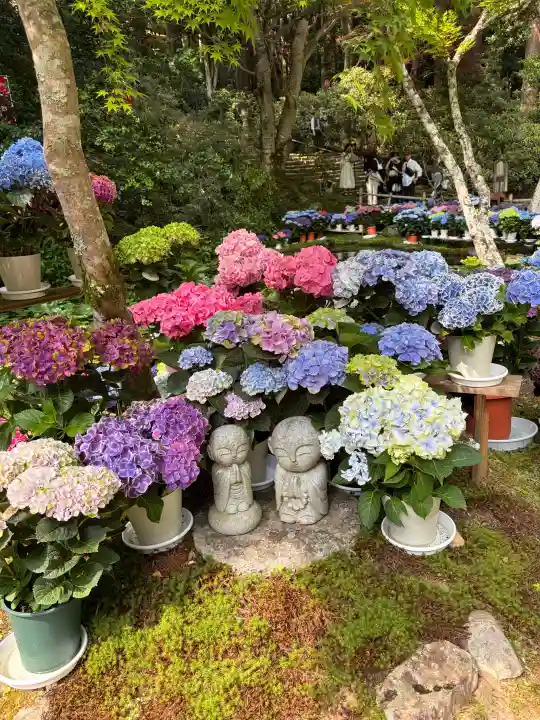 室生寺(奈良県)