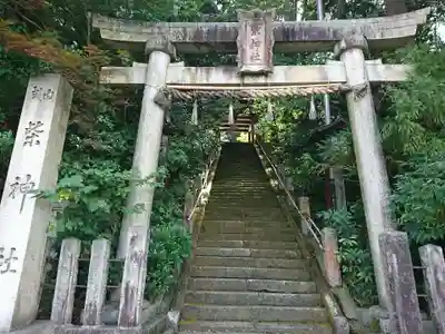 柴神社の鳥居