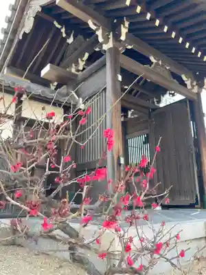 善楽寺の山門・神門