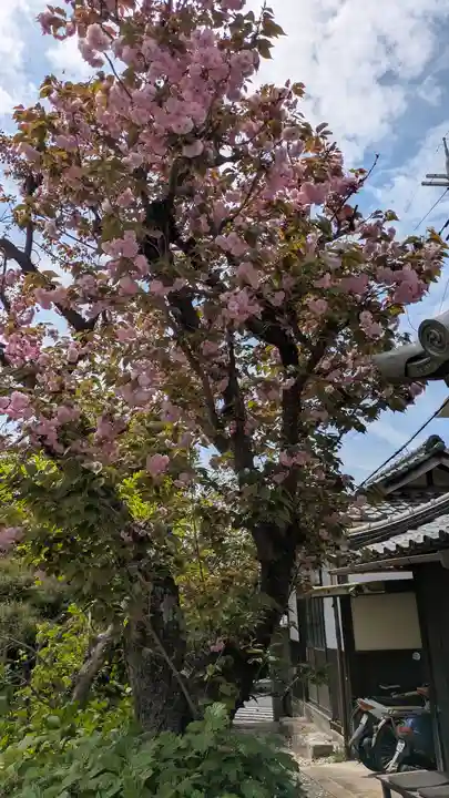 乘願院(京都府)
