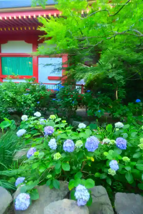 高幡不動尊 金剛寺(東京都)