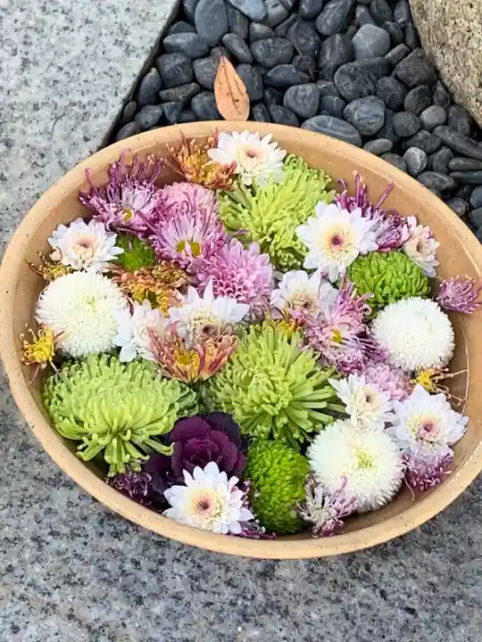 彌都加伎神社の手水舎
