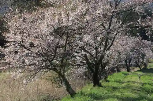 菅布禰神社の景色