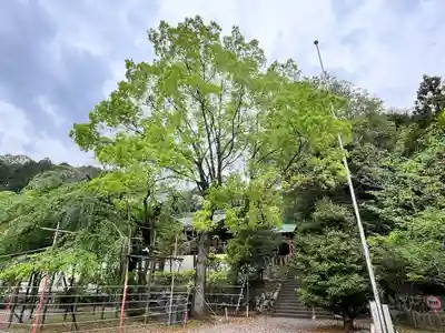 近江神宮(滋賀県)