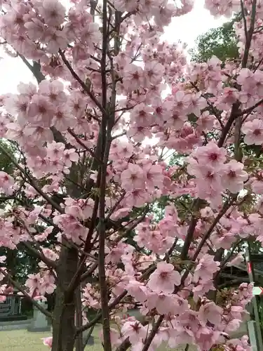 富部神社の庭園