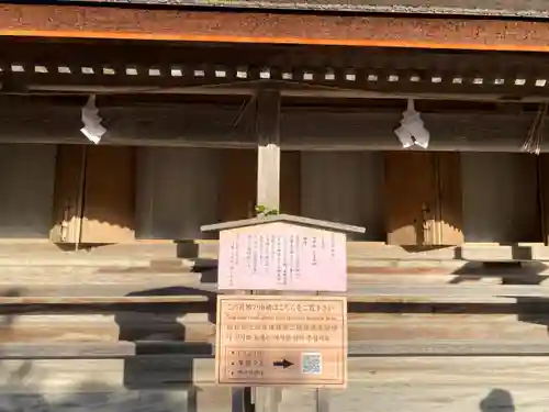 出雲大社(島根県)