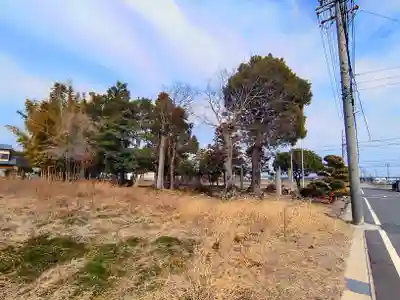 神明社（小山鹿取）の自然